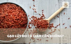 Ăn gạo lứt đỏ giúp giảm cân