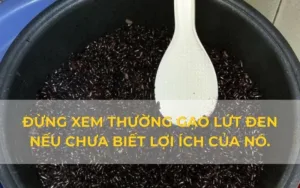 Đừng xem thường gạo lứt đen nếu chưa biết lợi ích của nó.