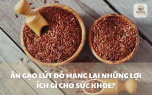 Ăn gạo lứt đỏ mang lại những lợi ích cho sức khỏe
