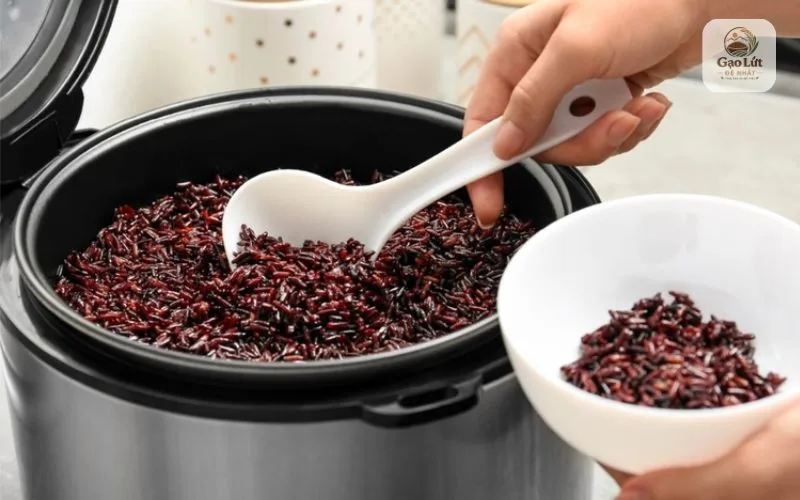 Cách nấu cơm gạo lứt đỏ giảm cân