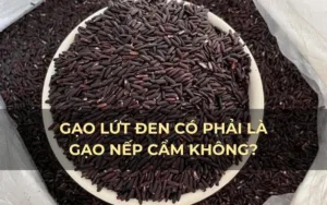 Gạo lứt đen có phải là gạo nếp cẩm không?