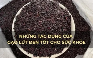 Những tác dụng của gạo lứt đen tốt cho sức khỏe