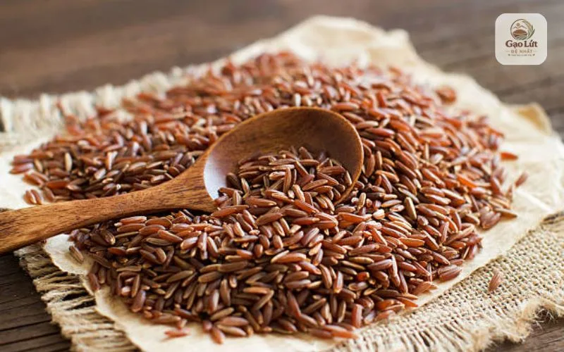Ăn gạo lứt đỏ giúp giảm cân không?