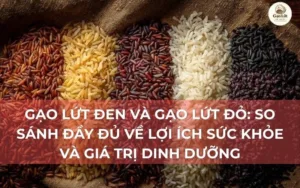 Gạo lứt đen và gạo lứt đỏ