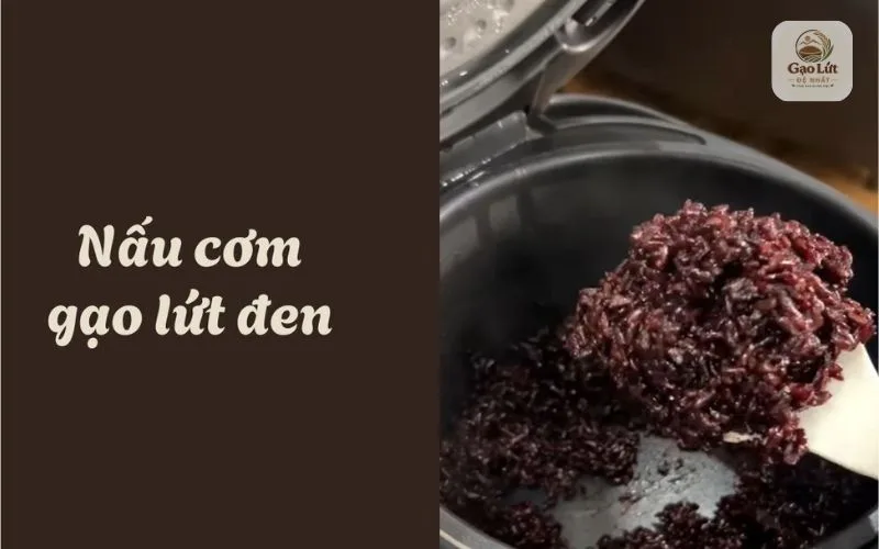 Cách nấu cơm gạo lứt đen dẻo thơm chuẩn ngoài hàng.