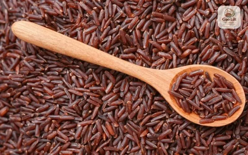 Ăn gạo lứt đỏ giúp giảm cân không?