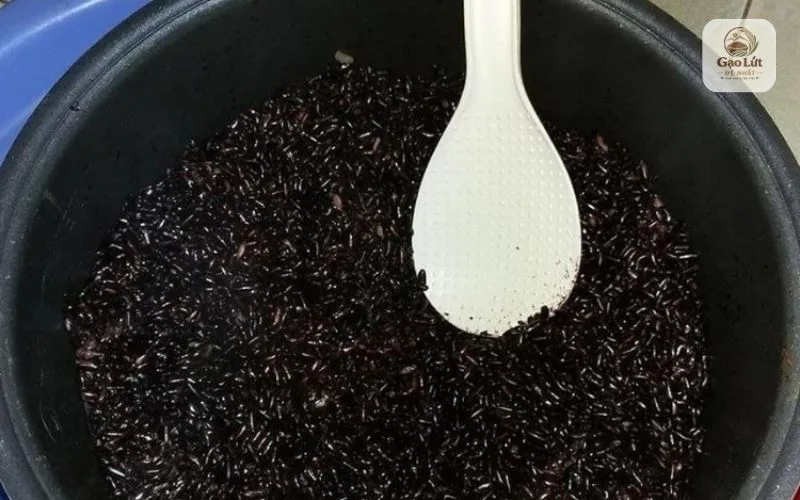 Trộn gạo lứt đen với gạo trắng để nấu bằng nồi cơm điện.