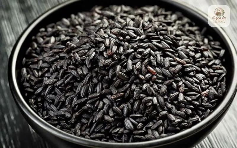 Gạo lứt đen là một trong những loại gạo chứa nhiều lượng protein và chất chống oxy hóa.
