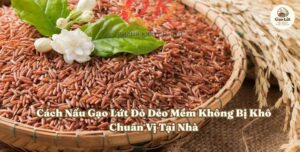 Hướng dẫn ăn gạo lứt đỏ đúng cách tốt cho sức khỏe