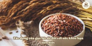 gạo lứt đỏ mua ở đâu