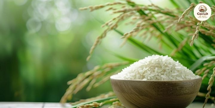 Gạo lứt nào tốt nhất và cách chọn gạo chất lượng