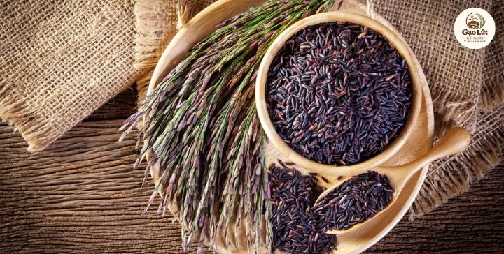 Gạo lứt nào tốt nhất để sử dụng lâu dài